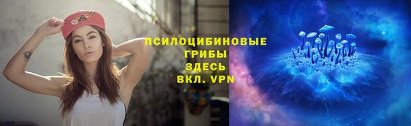 альфа пвп Богородицк