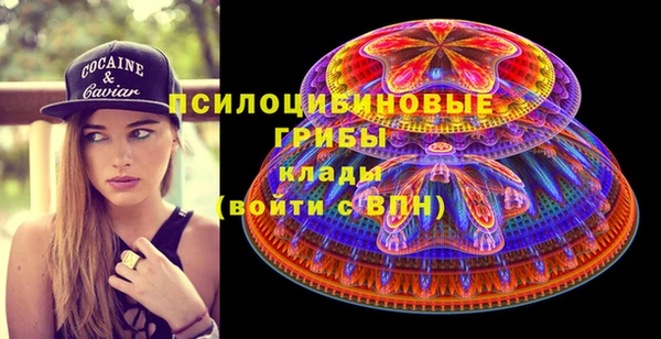 стафф Богородск