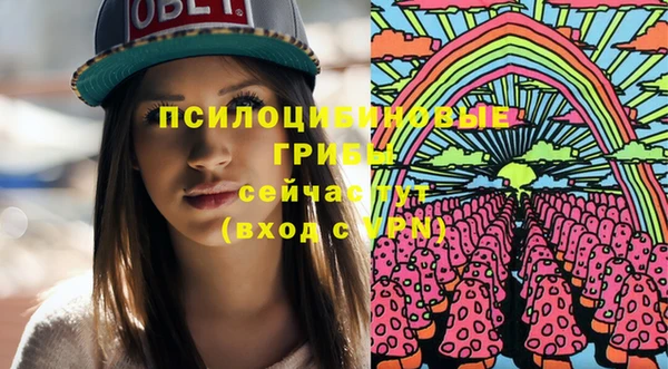 стафф Богородск