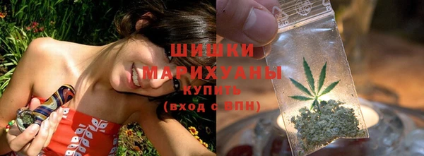 стафф Богородск