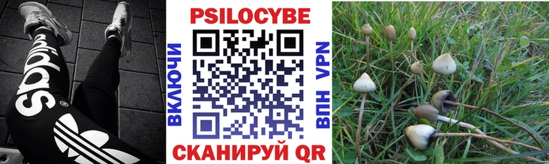 Галлюциногенные грибы мухоморы  наркота  Томск 